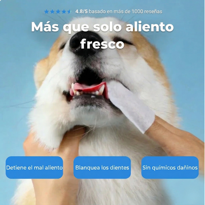 Pawsz™- Toallitas dentales naturales para mascotas