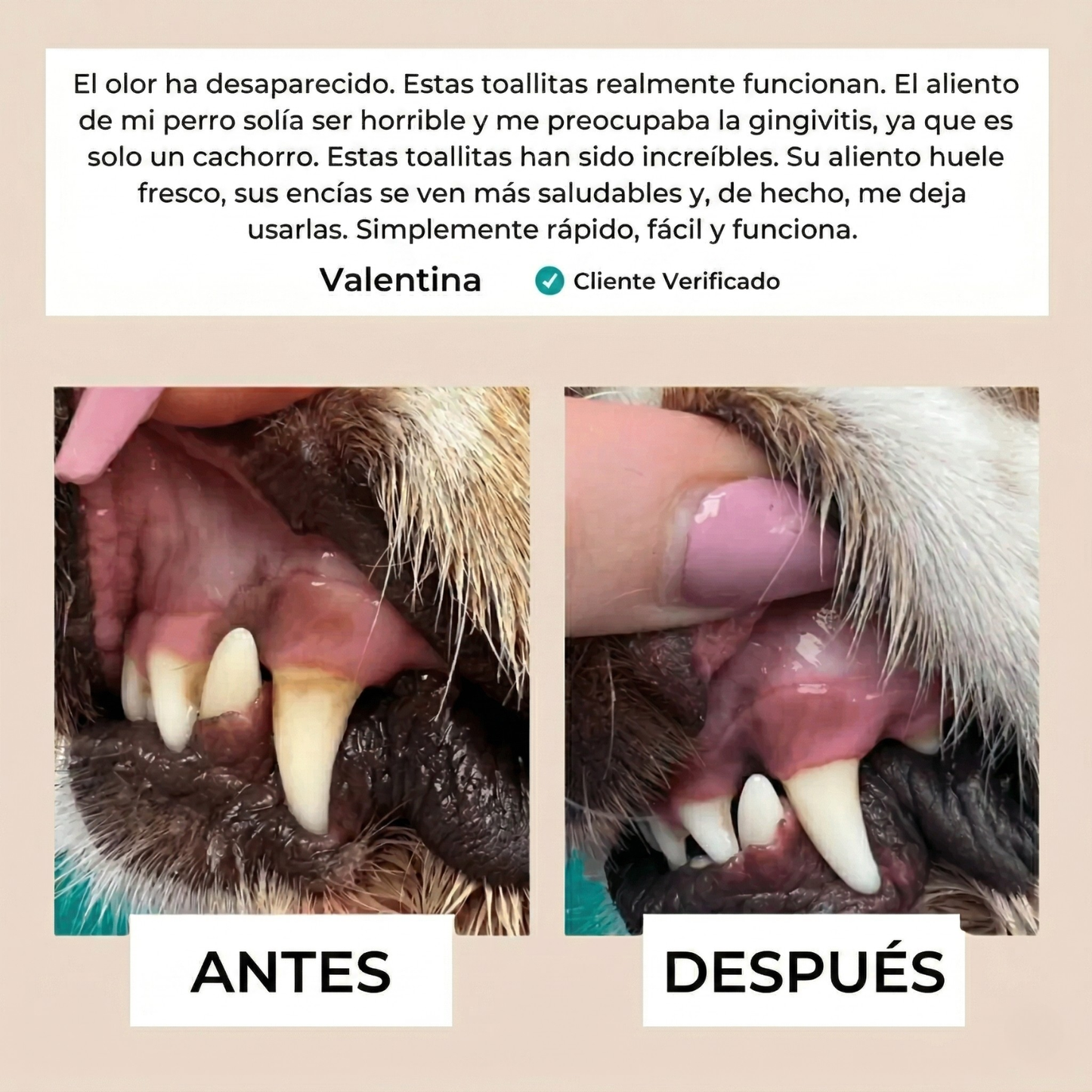 Pawsz™- Toallitas dentales naturales para mascotas