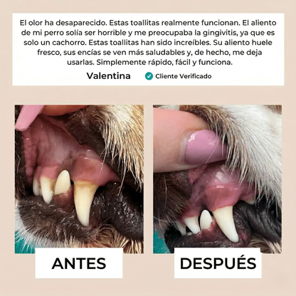 Pawsz™- Toallitas dentales naturales para mascotas