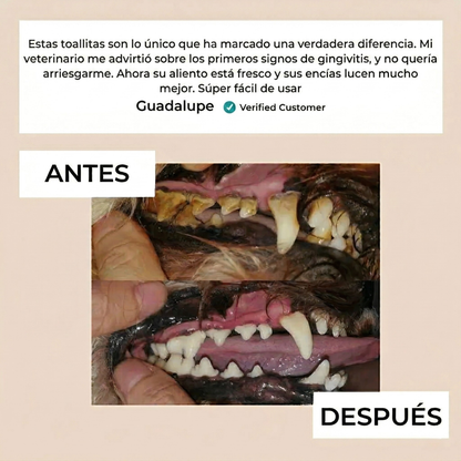 Pawsz™- Toallitas dentales naturales para mascotas